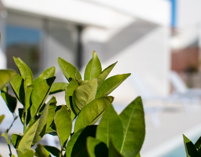 Villa en venta en Los Montesinos, Orihuela Costa, Alicante