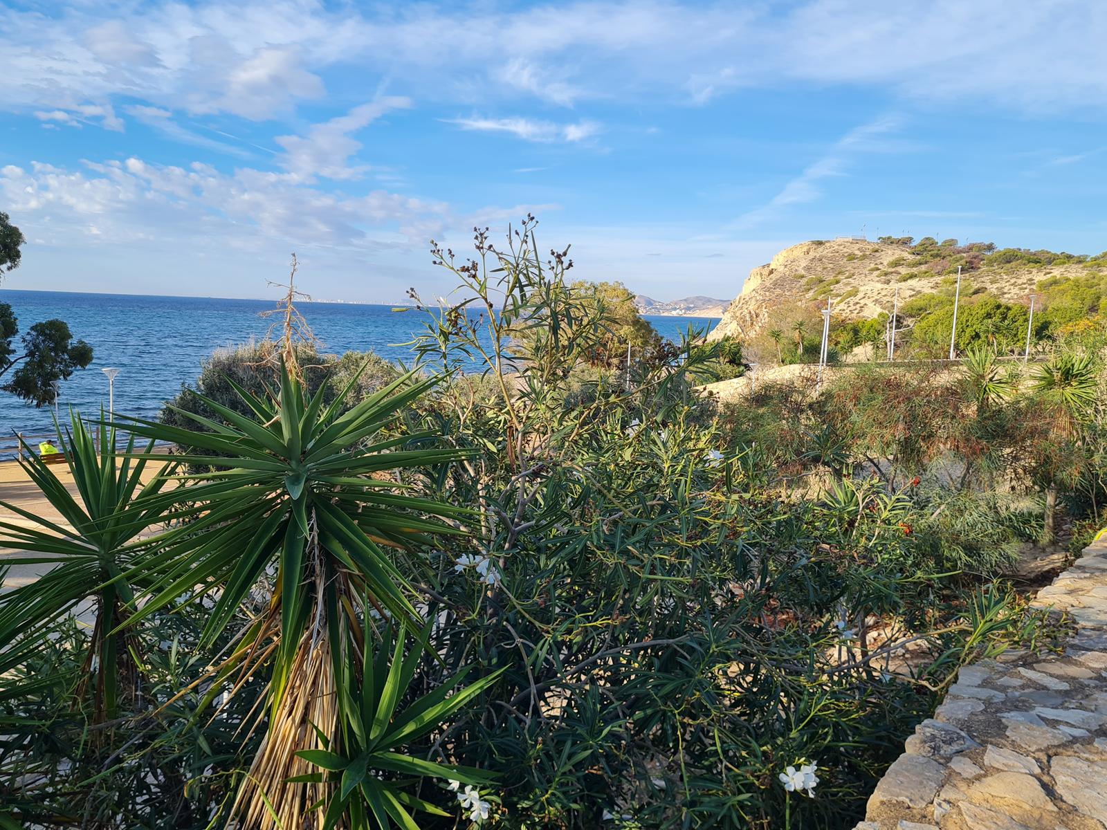 Apartamentos ubicados en primera línea de mar, Villajoyosa
